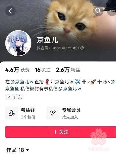 抖音网红京鱼儿纯欲少女天花板自慰喷水福利视频流出 狗链母狗属性直接拉满！ 3