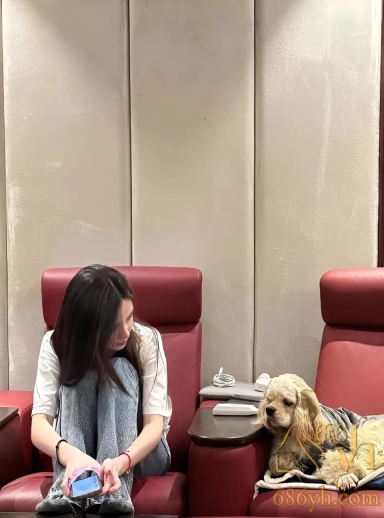 抖音爆火白衬衫牛仔裤女孩 真实身份竟为高端外围 白月光的杀伤力实在太大 绝美侧颜令无数网友陷入疯狂！ 2