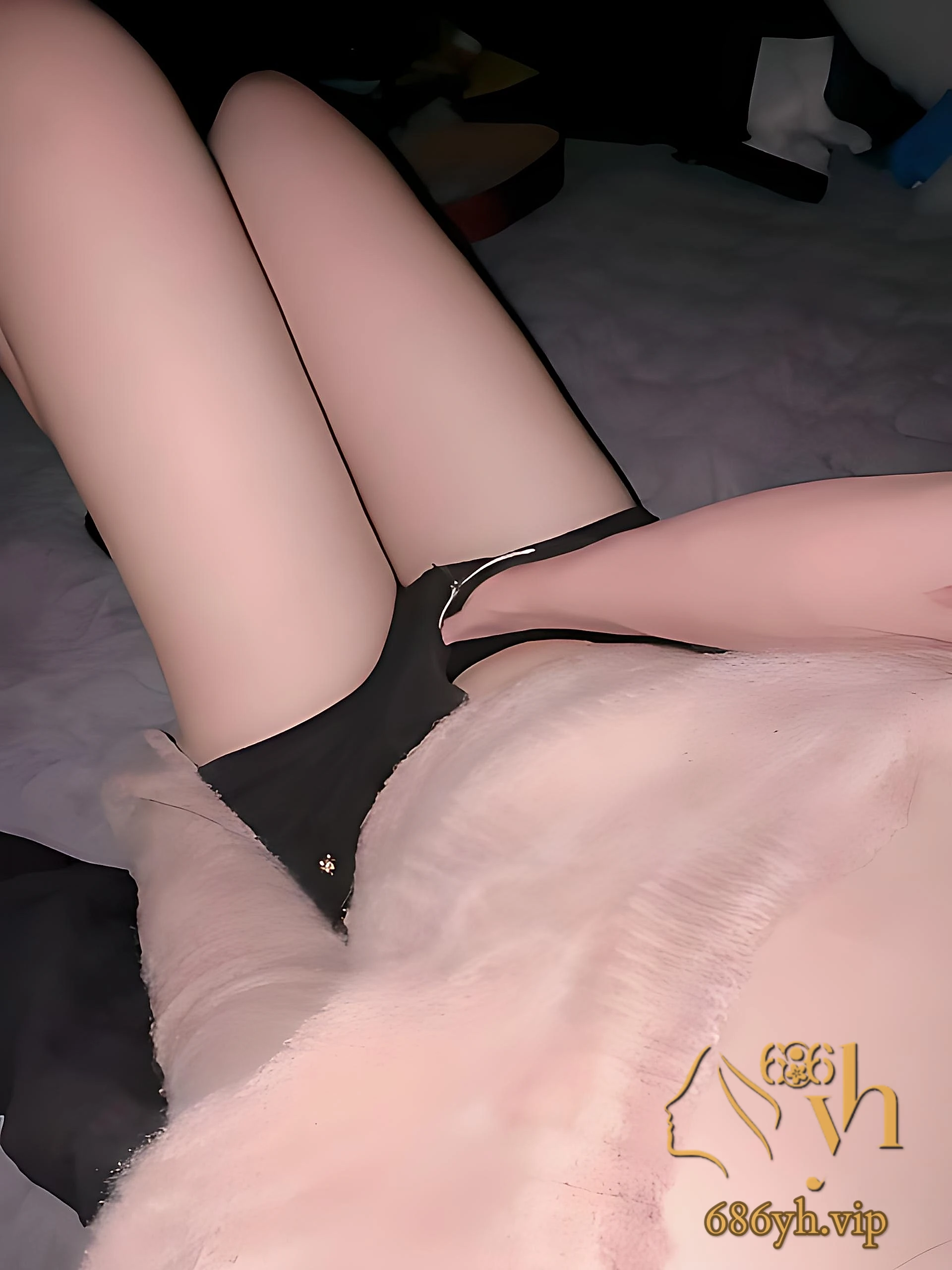 003.jpg